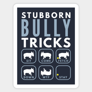 Stubborn English Bullterrier Tricks - Dog Training Magnet
